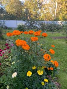 IMG_0367.jpeg