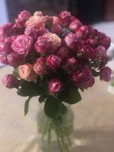 IMG_1633.jpeg