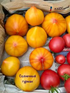 IMG_1994.jpeg