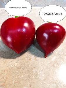 IMG_20230729_223324.thumb.jpg.1b5dd32c693f30e301ae9ef9ecf67c30.jpg