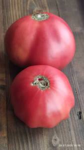 IMG_20250728_181828.thumb.jpg.1ffe99d072288ebd0c9ba5807f41a2a4.jpg