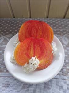 IMG_20250809_110027(1).thumb.jpg.990bde445c9c7dbb95b28f103357ae9e.jpg