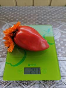 IMG_20250810_092517.thumb.jpg.b876ecce5d1dd2c708ab6880257ecb4f.jpg