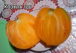 IMG_20250810_231611.thumb.jpg.bdab6bc0039e24ebb6f5129bbcc06ce9.jpg