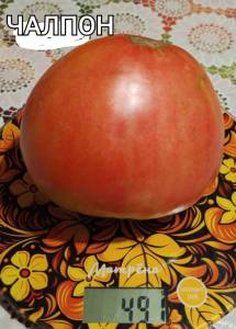 IMG_20250814_124456.thumb.jpg.096bde6e4057257dd9a8b38ded565b42.jpg