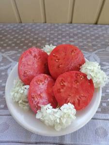 IMG_20250815_090248.thumb.jpg.fad3bce6fbcfb897bccb4de126ff881c.jpg