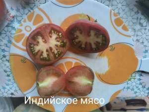 IMG_20250817_170847.jpg