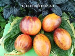 IMG_20250821_191512.thumb.jpg.69f7e401c5c263d69eb9e2566c3f0d83.jpg