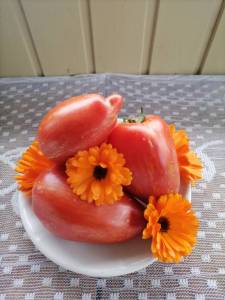 IMG_20250829_102748.thumb.jpg.f5aa436a9242f78bf8f69a67a5a634b0.jpg