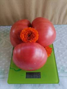 IMG_20250914_081643.thumb.jpg.9b14ac82989b63e352de3c309548a557.jpg