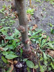 IMG_20251002_170110.jpg
