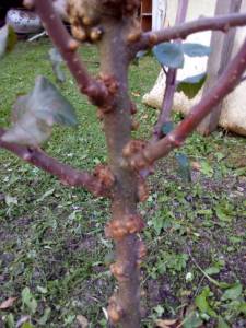 IMG_20251002_170204.jpg
