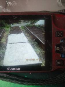 IMG_20251006_135735.jpg