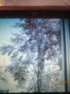 IMG_20251006_135944.jpg