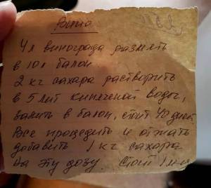 IMG_20251007_113324.jpg