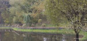 IMG_20251007_153251.jpg