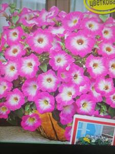 IMG_20251008_115217.jpg