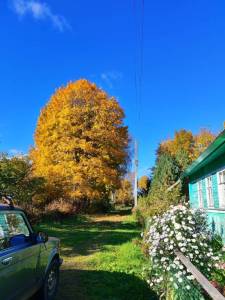 IMG_20251008_121316.jpg