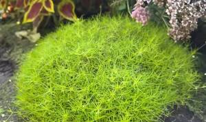 IMG_20251010_130938.jpg