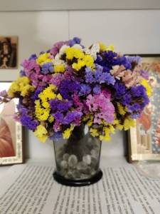 IMG_20251010_214429.jpg