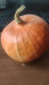IMG_20251011_173507.jpg