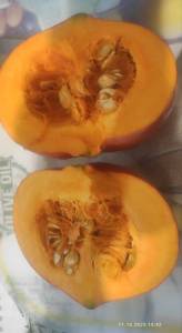 IMG_20251011_173528.jpg