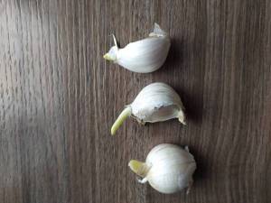 IMG_20251012_143839.thumb.jpg.d4636880b5661cc655935eefd2d9cb70.jpg