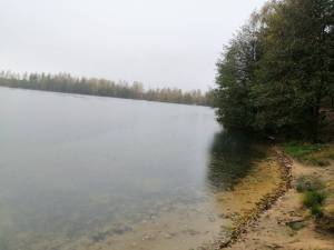 IMG_20251013_100343.jpg