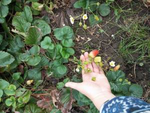 IMG_20251016_150958.jpg