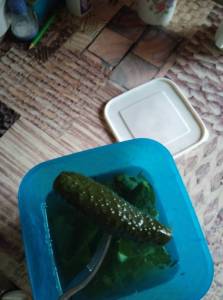 IMG_20251017_145224.thumb.jpg.cc20ccde5a8848991b2b777dae6e876d.jpg