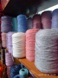 IMG_20251019_122030.thumb.jpg.d6d804c577a8305a0effb5da75dcb94a.jpg