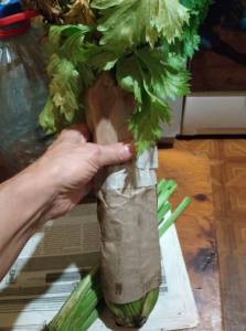IMG_20251022_205158.thumb.jpg.2451680113872e6d169a334a9a78c96b.jpg