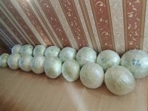 IMG_20251024_093144.thumb.jpg.d6c59b4502d790443b63c0b77d9f9abf.jpg