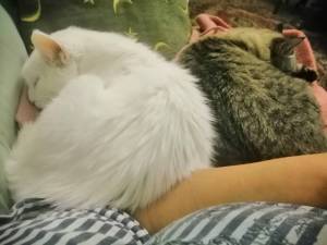 IMG_20251025_211002.jpg