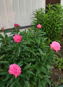 IMG_20251027_131322.jpg