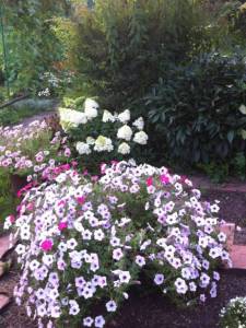 IMG_4023.JPG