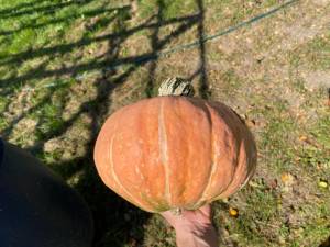 IMG_4611.jpeg