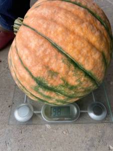 IMG_4885.thumb.jpeg.2f328a9b440f42413fc2d39a368ade40.jpeg