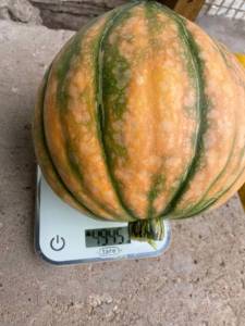 IMG_4886.thumb.jpeg.b477e03f5e017f9d3bc8459b1eaf3b80.jpeg