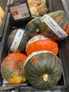 IMG_4939.jpeg