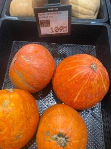 IMG_4940.jpeg