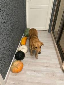 IMG_5048.jpeg