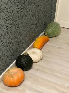 IMG_5049.thumb.jpeg.b72d3499dc5b2c5f22e8a0ab0cc24fe1.jpeg