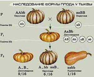 IMG_5425.jpeg
