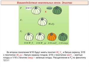 IMG_5426.jpeg