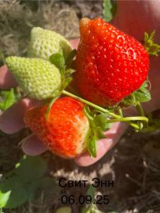IMG_6629.jpeg