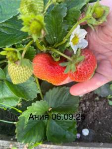 IMG_6632.jpeg