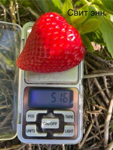 IMG_6635.jpeg