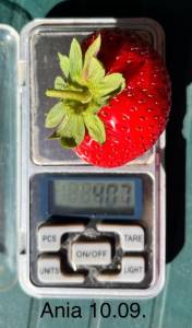 IMG_6721.jpeg