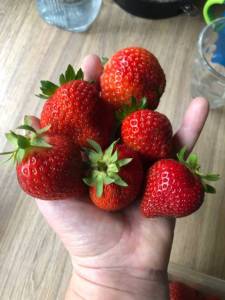IMG_8262.jpeg